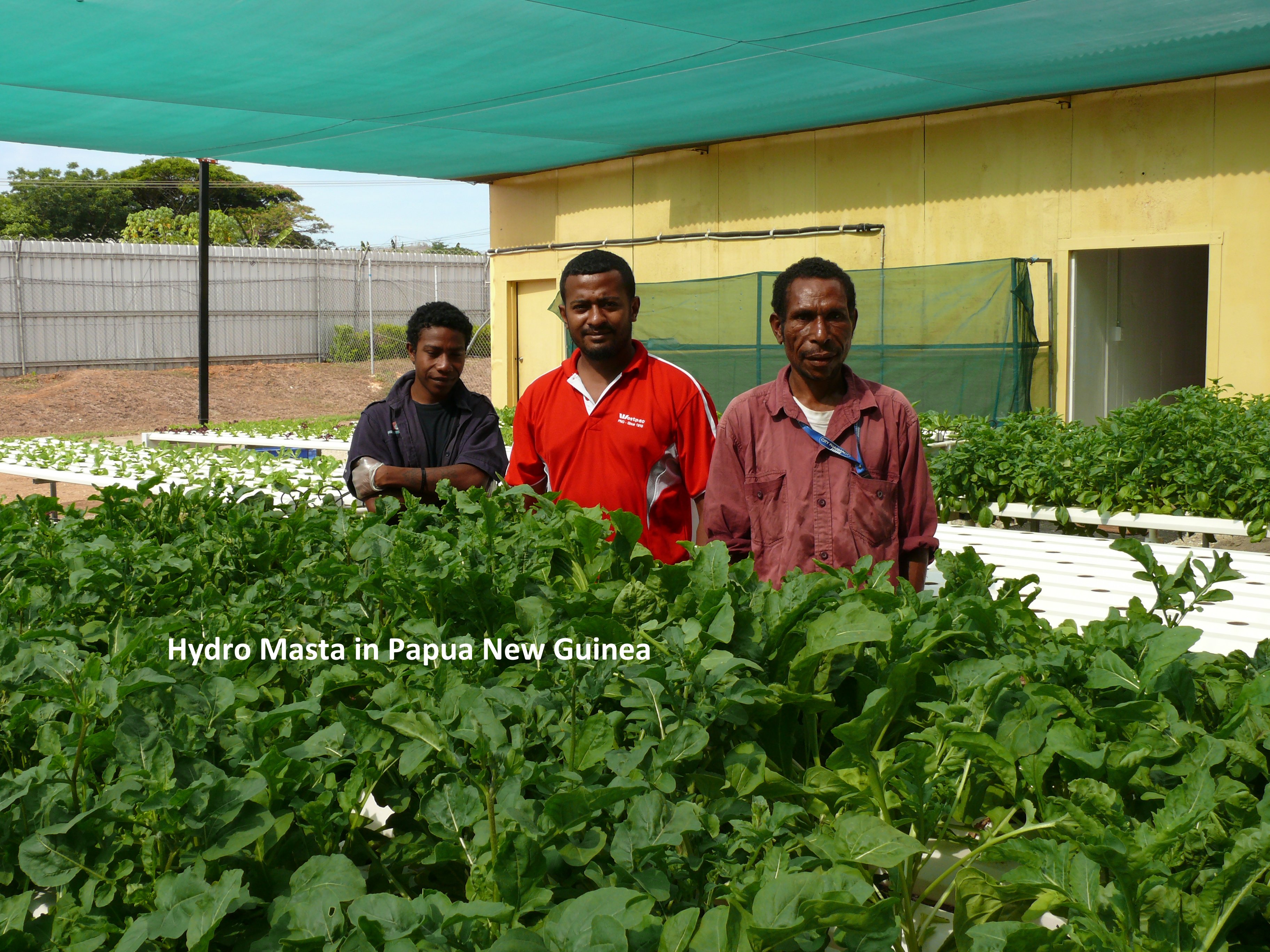 Hydro Masta Hydroponic installation in PNG
